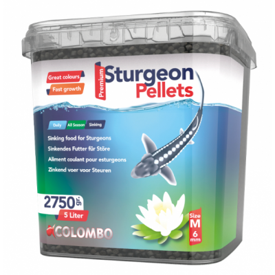 STURGEON FOOD 5L - Grão Médio